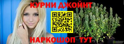 дмт Дубна